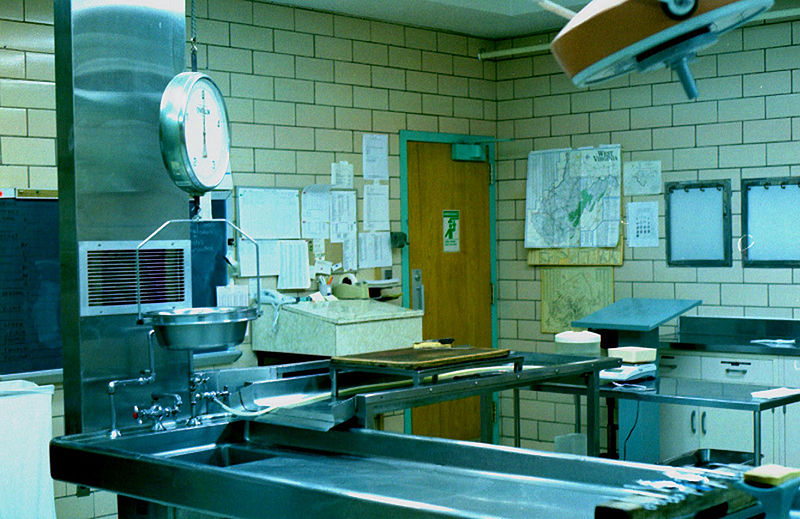 Stuff Dead People Like: Felicity Marmaduke is a hoax. Really.