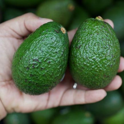 tips on how to soften an avocado