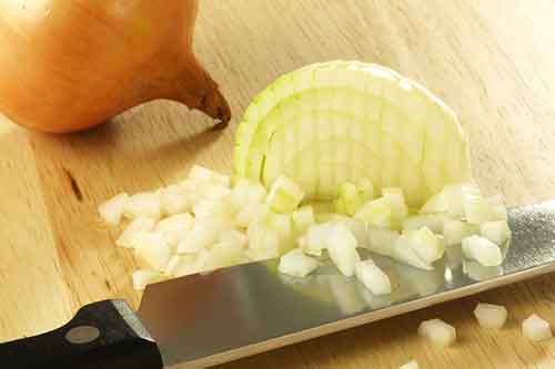 Can dogs eat onions