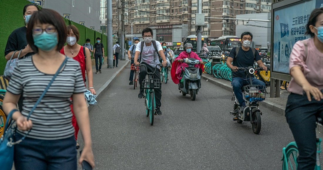 China detiene importación de gambas provenientes de Ecuador por ...