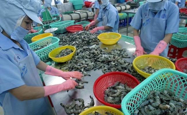 China suspende importación de gambas de Ecuador al detectar Covid ...