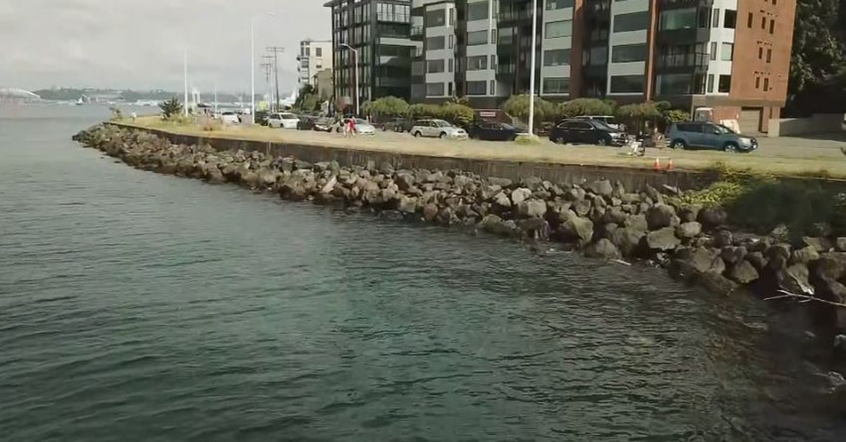 Somebody knows something.” Family of murdered couple found in ...