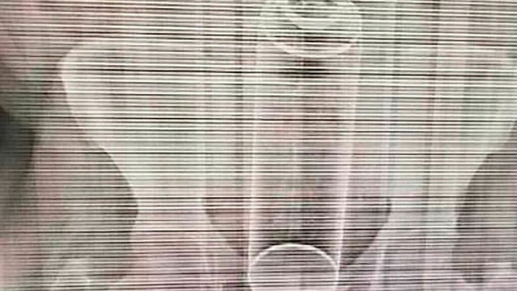 Una de las fotografías que se han difundido a partir del incidente