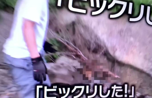tr.twipple.jp