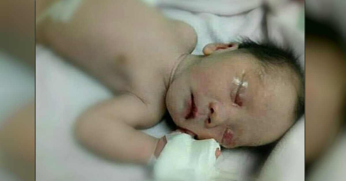dog saves newborn