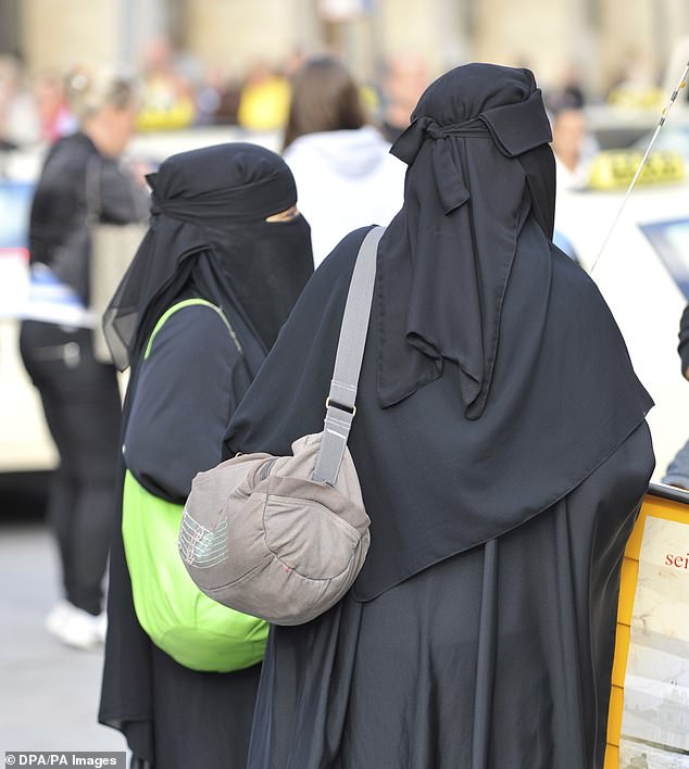 Baden-Württemberg in southwest Germany announced the ban on Tuesday (File image)