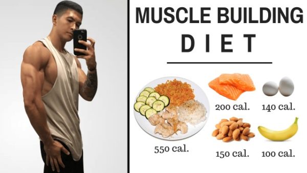 calorie calculator for bodybuilding