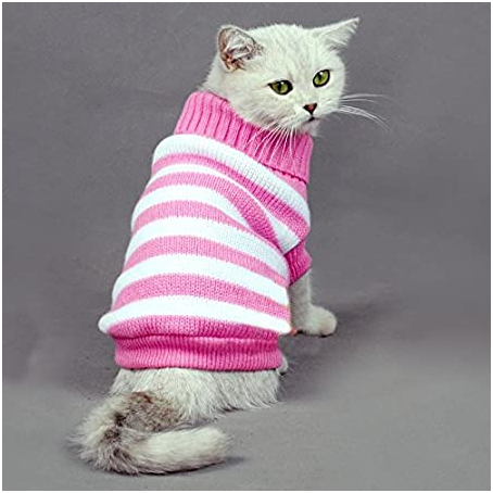 cats with sweaters 