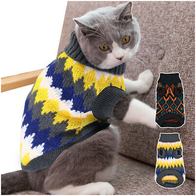 cats with sweaters 