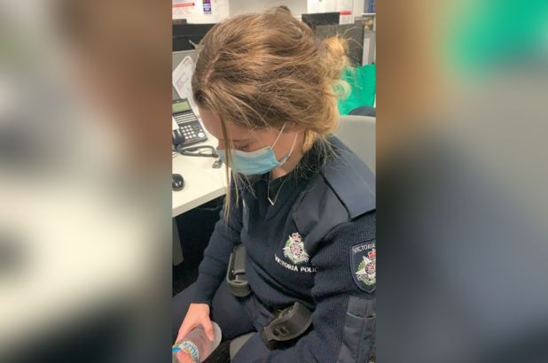 Woman allegedly bashed cop