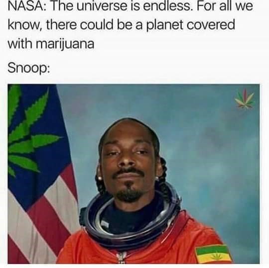 Snoop Dogg memes