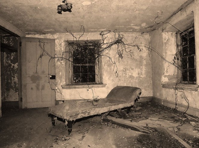 Este experimento de científicos rusos dio resultados impresionantes