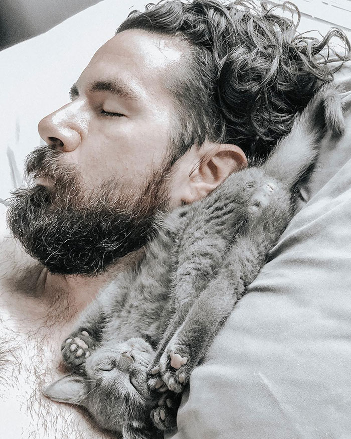cat dad meaning