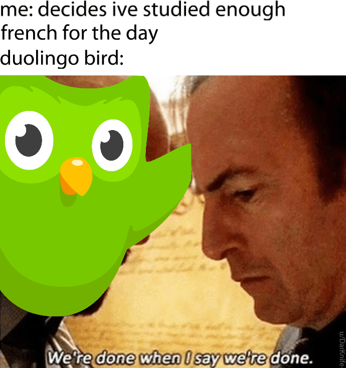 10 Hilarious Duolingo Memes That Give Vengeance A New Name