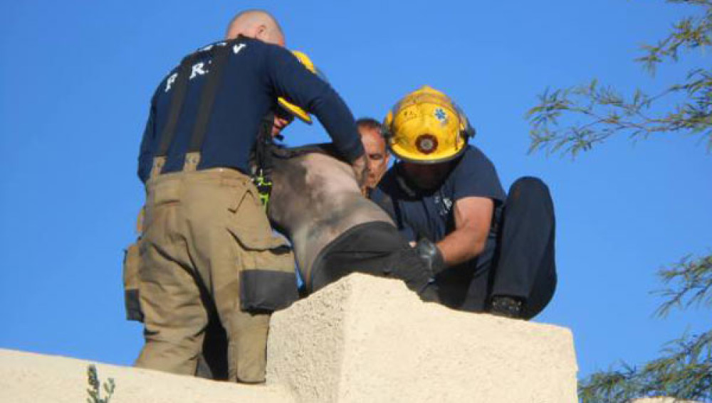 Un joven queda atrapado al intentar acceder a su casa por la ...