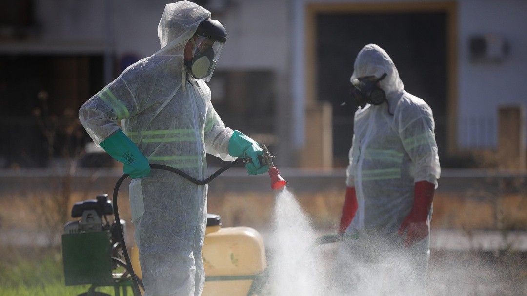 Últimas noticias sobre Virus del Nilo | Cadena SER