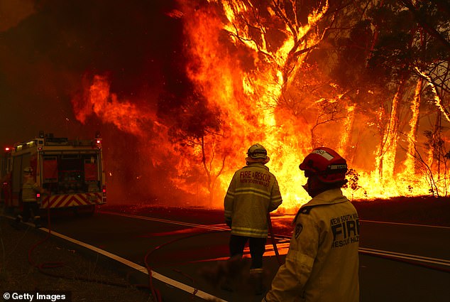 NSW RFS firefighters could be called to assist with the wildfires burning in California. Pictured are NSW RFS firies battling a fire near Bilpin west of Sydney last December