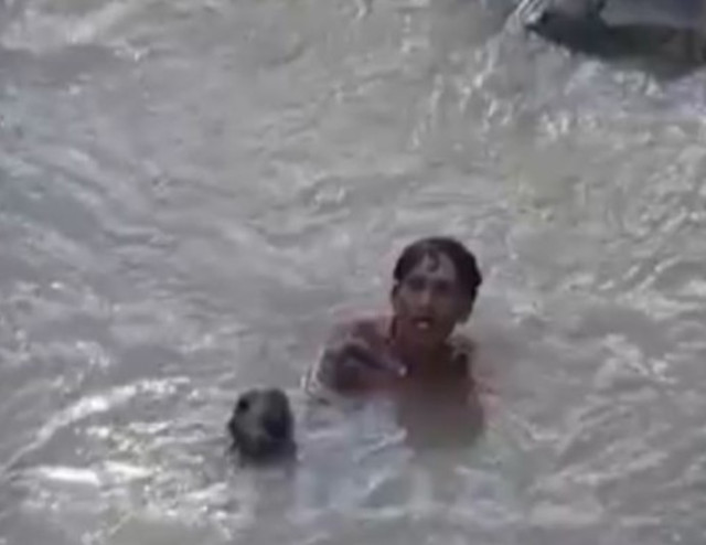 Video: Pensaron que estaba muerto pero se había quedado dormido ...