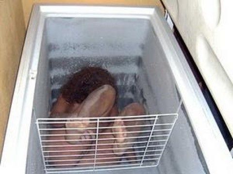 Joven desaparece y 18 años después encuentran su cadáver en el congelador de su hermana | La Verdad Noticias