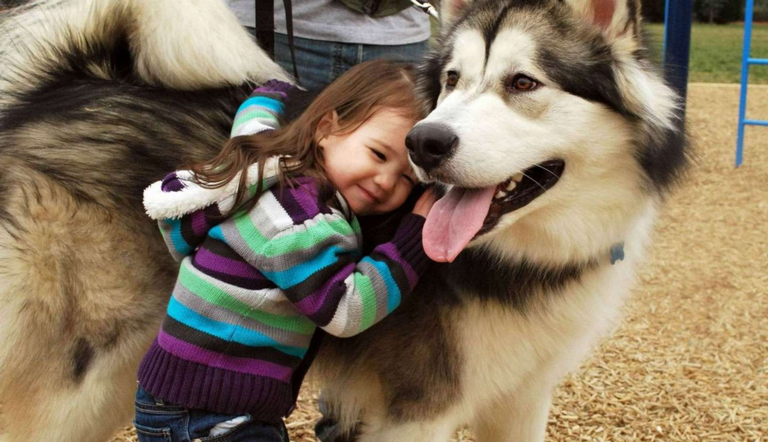 quotes for dog lovers