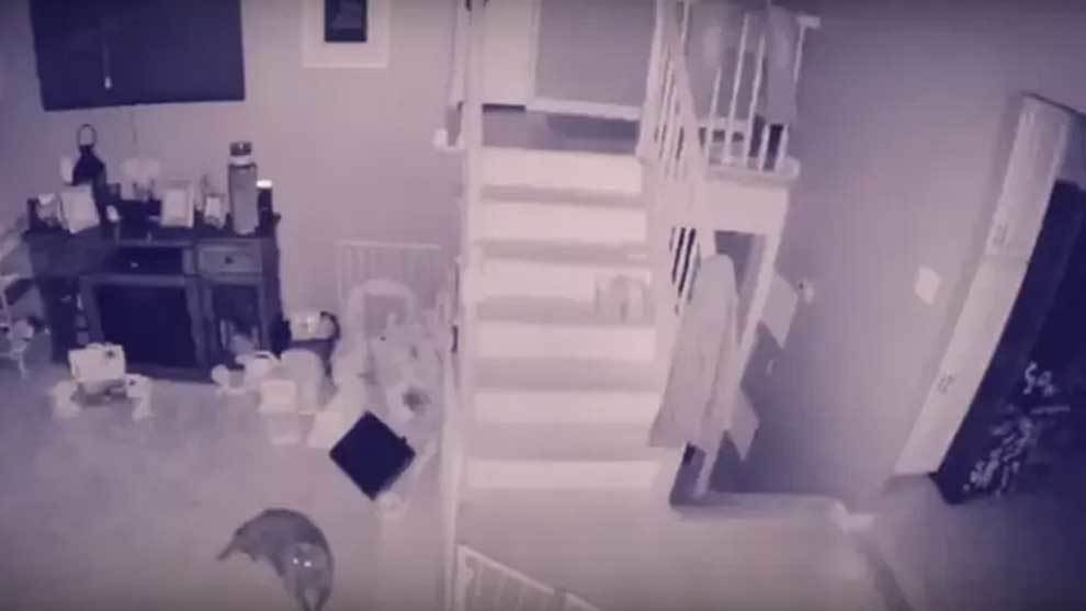 El vídeo del momento: Graban al fantasma de un niño jugando con el espectro de su perro | Marca.com