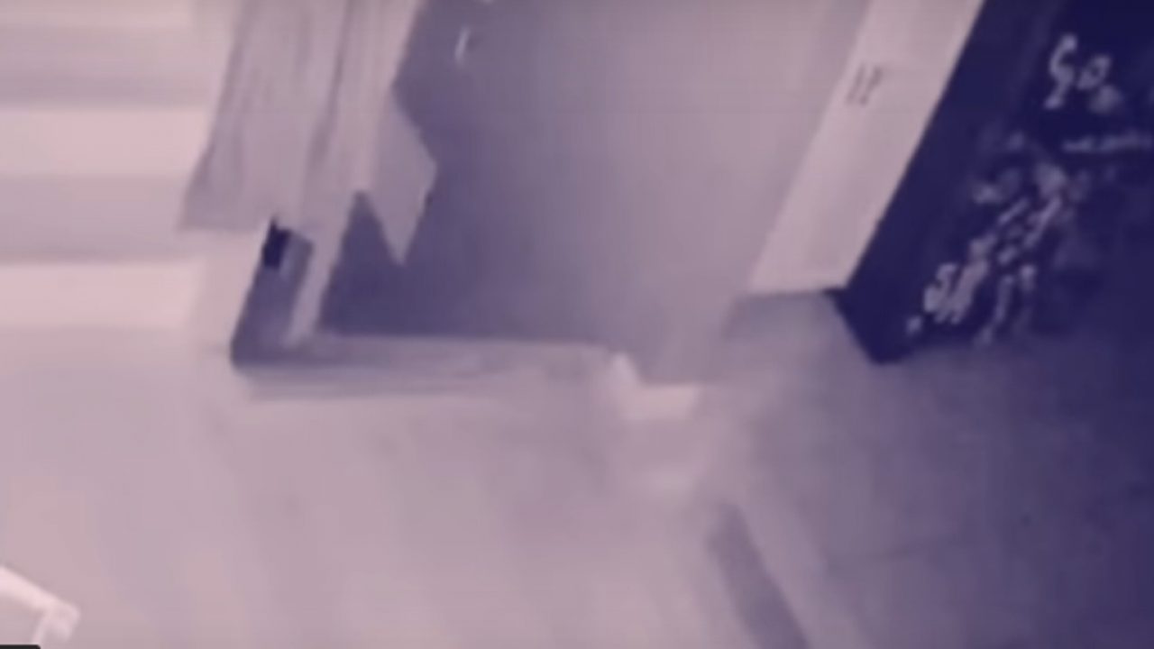 Espeluznante vídeo. ¿Un fantasma se pasea por el salón de esta casa? Dicen que la clave está en el gato