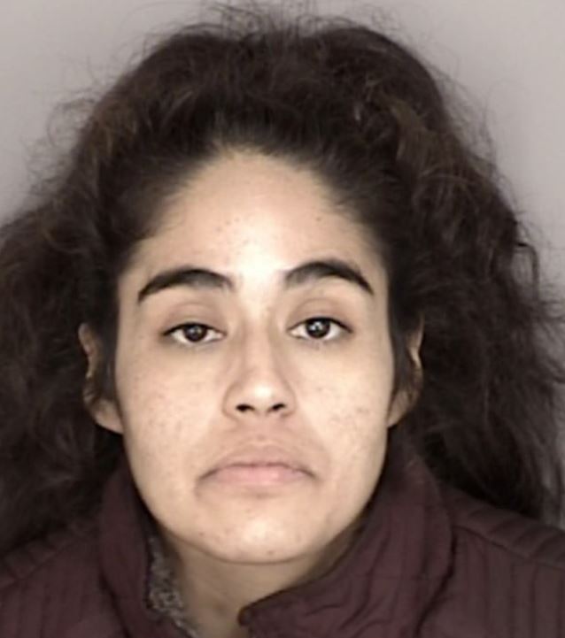 woman arrested for allegedly setting wildfires