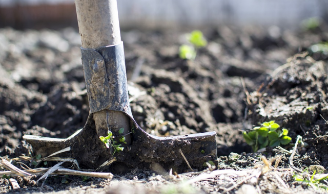 Un hombre encuentra enterrado un bebé con vida cuando cavaba la tumba de su hija muerta