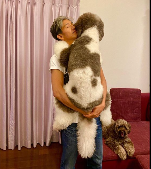 突然の過激インスタ 木村拓哉が犬と 愛し合う 画像に この構図はどう見ても Hachibachi