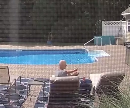 Man Resting By The Pool Wakes Up After Bear Sniffs And Taps His Foot ...