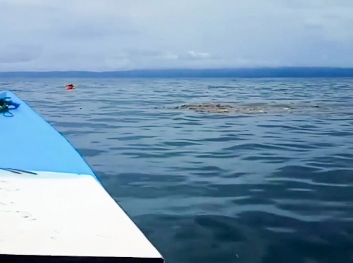 His distinctive orange-coloured box was spotted by the rescue team off the coast in North Maluku province, Indonesia