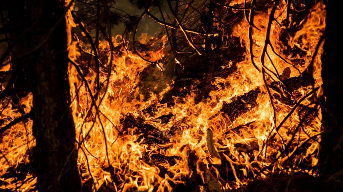 Un niño y su abuela mueren al intentar escapar de los incendios en Oregón