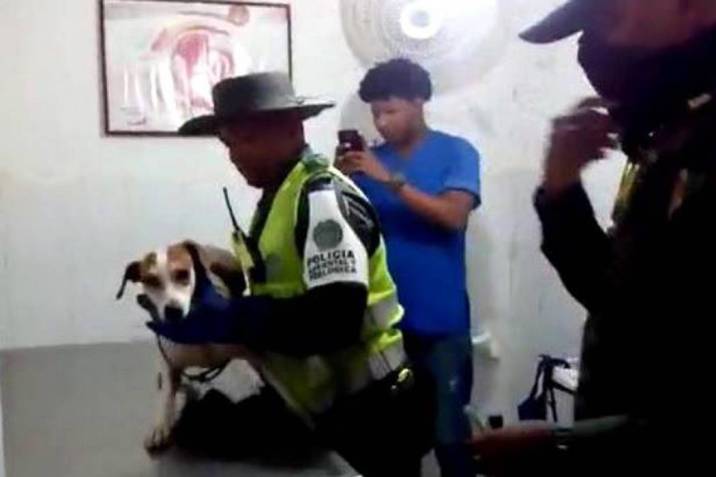 Capturan a adulto mayor que abusó sexualmente a perra | Vanguardia.com