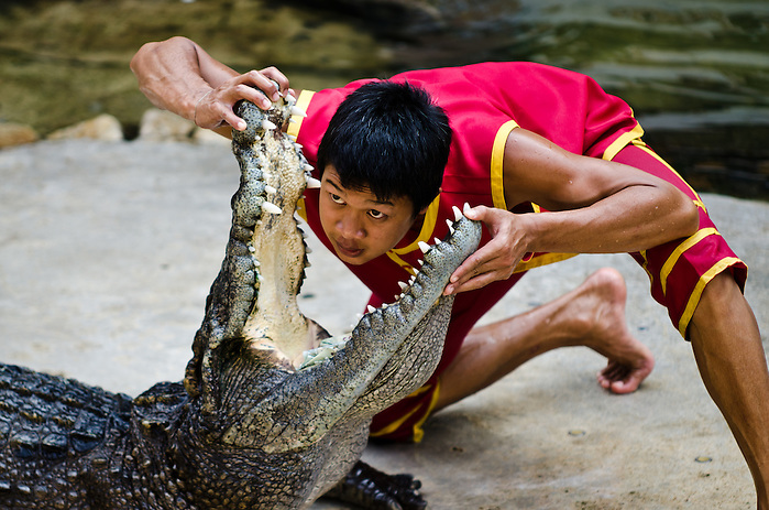 ¿Cocodrilos asesinos? | PASAPORTE SALVAJE