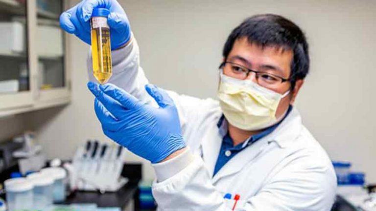 Finalmente se supo: OMS confirma el origen del coronavirus