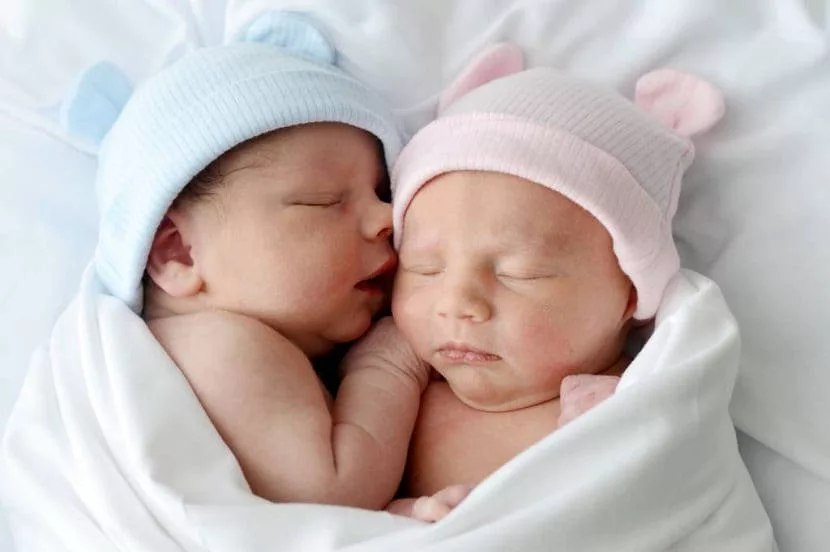 Qué diferencia hay entre gemelos y mellizos? » CurioFeed ?