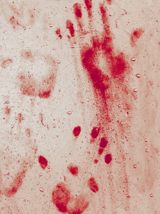 Soñar con sangre en el suelo: advertencias en sueños