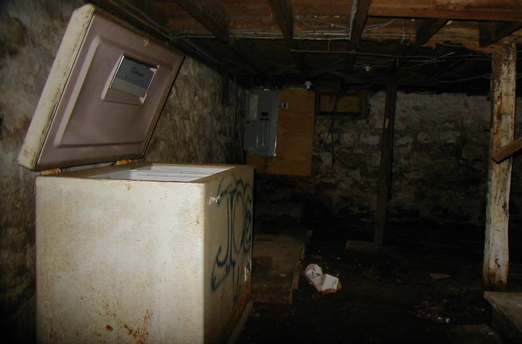 Mujer esconde cadáver de su abuela en un congelador - Revista Ronda