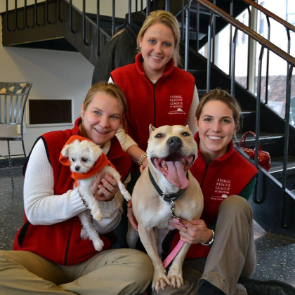 Animal Rescue League of Boston Reviews | Glassdoor