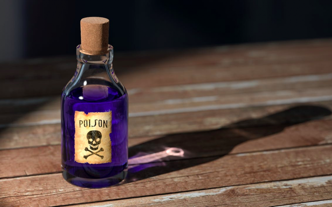 Poison Proof Your Home - Oceanside Veterinary Clinic