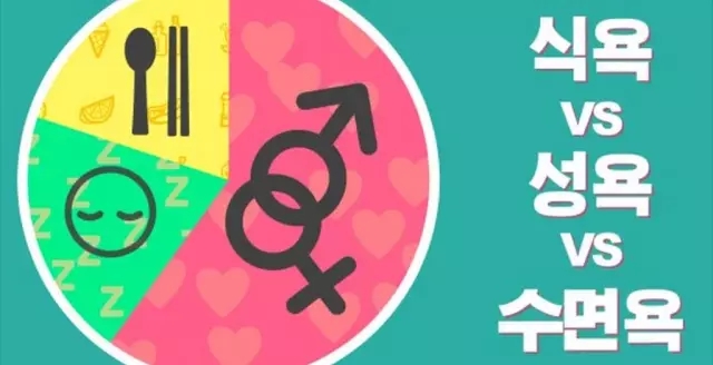 다양한 인간의 욕구 < Class < Class < 기사본문 - MC (엠씨플러스)