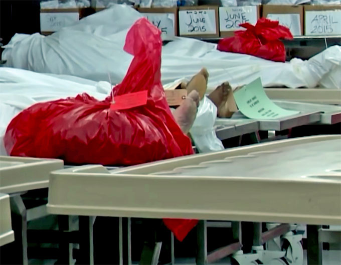 FBI Finds Bodies Sewn Together in Human Chop Shop (Multi-Video) - American Security Today