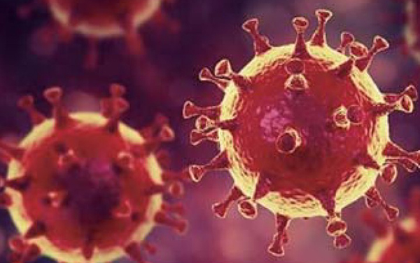 코로나19, 훨씬 더 일찍 시작해서 훨씬 더 많이 감염시켰다 : 동아사이언스