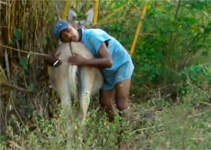 Feliz cumpleaños al equipo costeño - COMANDOSAZULESDISTRITOCAPITAL