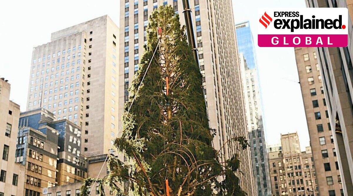 Owl topic on Flipboard