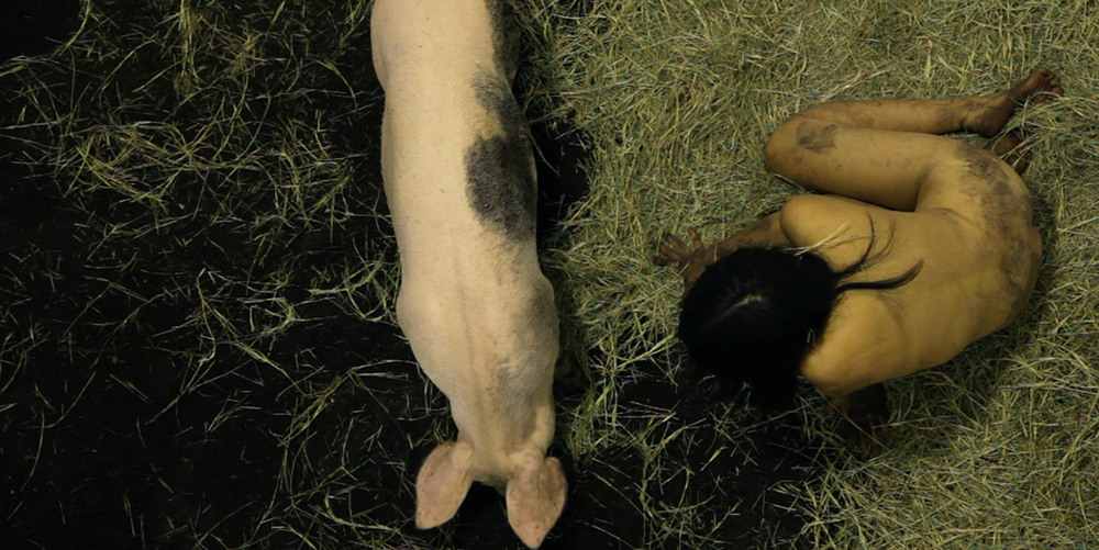 I like Pigs and Pigs Like Me (104 hours) — Miru Kim