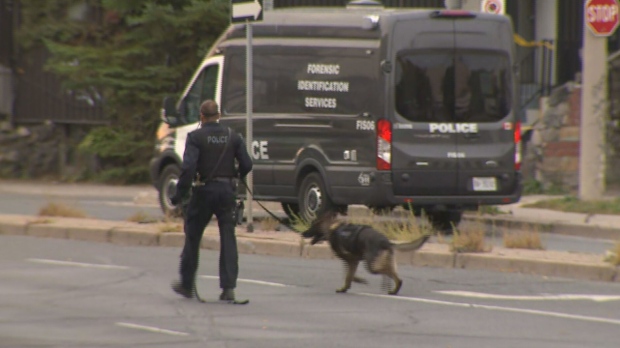 Woman has serious injuries after early morning shooting, Toronto police say | CP24.com