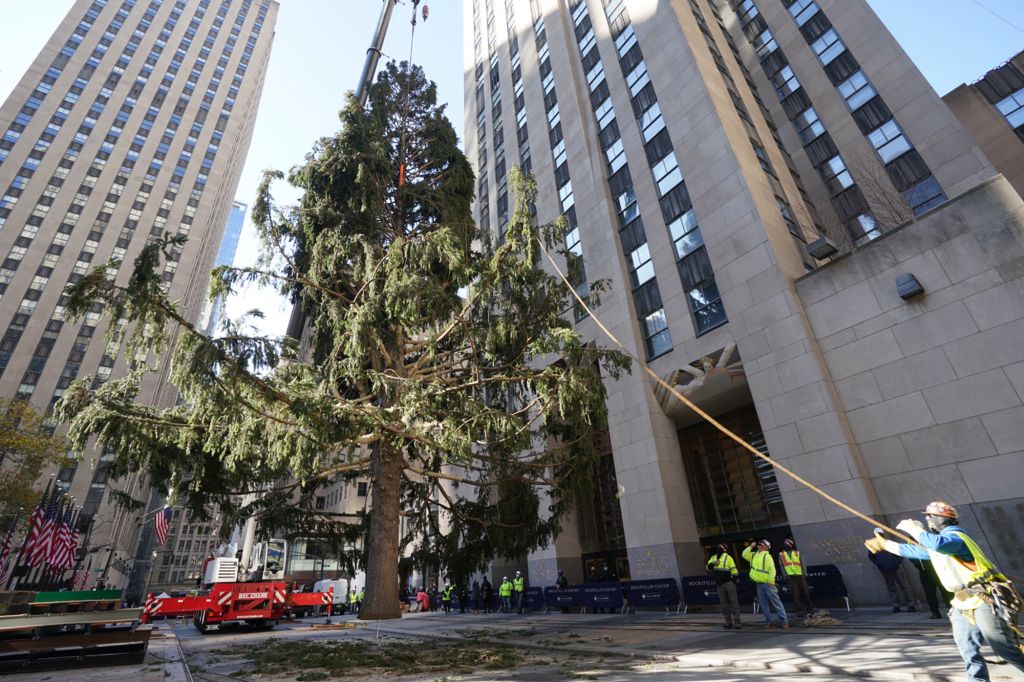 Rockefeller Center Christmas tree arrives in NYC