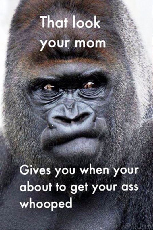 memes about moms