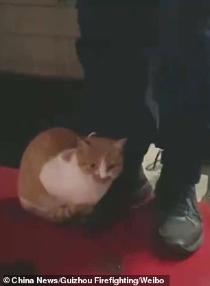 Firefighters from south-eastern China